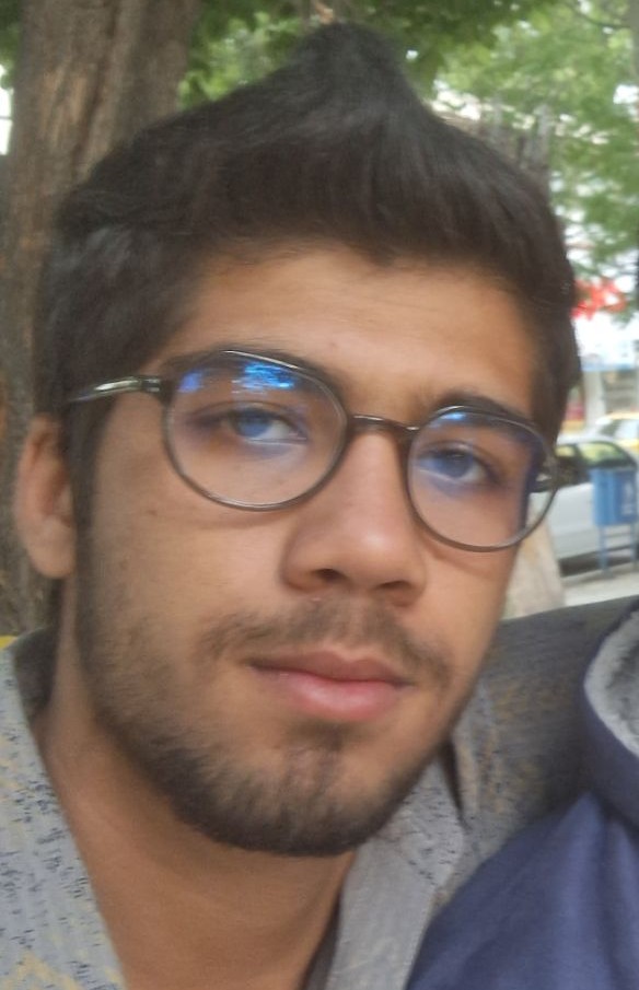 هادی